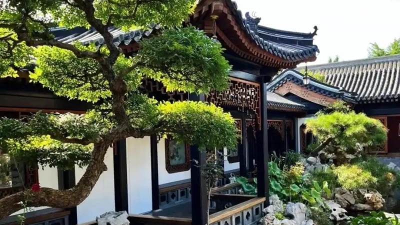 园林绿化 智慧园林热点文章配图